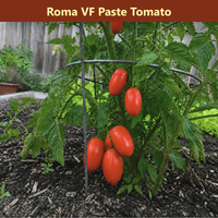 The Salsa Garden Bundle