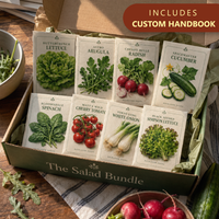 The Salad Garden Bundle